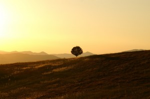 rise self-esteem, self esteem, increasing self esteem, improving self esteem, self esteem test